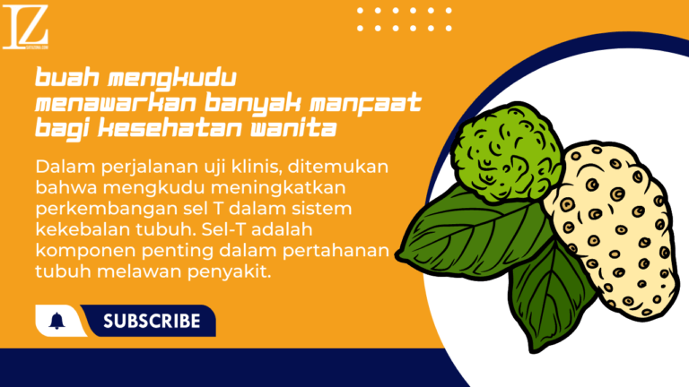 Buah Mengkudu