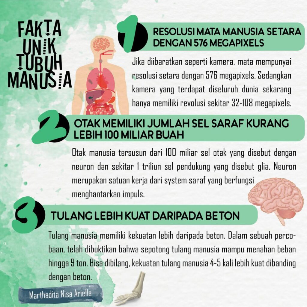 Content image for Fakta Unik tentang Tubuh Manusia: Rahasia yang Tersembunyi