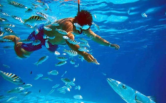 Featured image for Surga Bawah Laut di Banten: Snorkeling dan Diving di Perairan Jernih